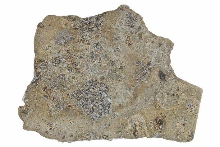 Eucrite Meteorite Slice ( g) - Jikharra #296000